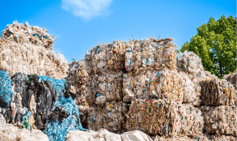 Nearly 14 lakh SIR forms identified as ‘uncollectable’ so far in West Bengal