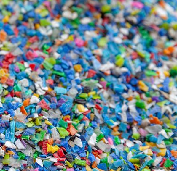 Celina Jaitly moves court against ‘narcissistic’ husband; accuses him of domestic violence, cruelty